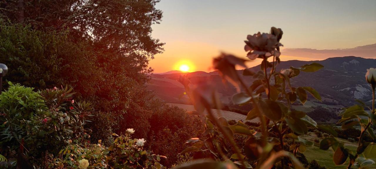 B&B La Terrazza Del Subasio アッシジ エクステリア 写真