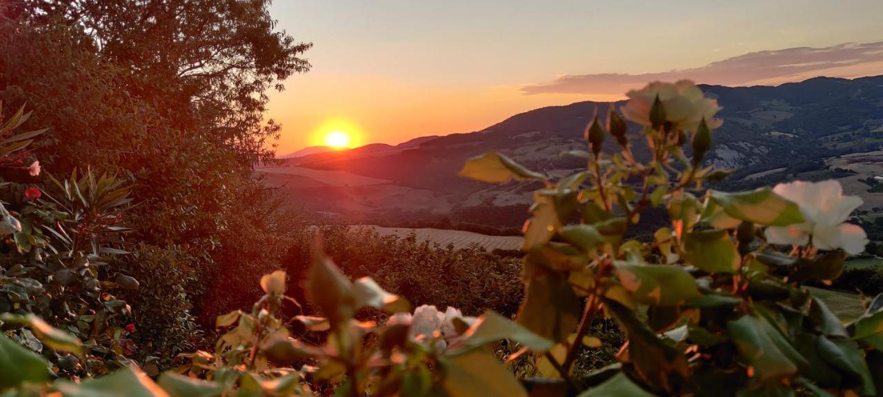 B&B La Terrazza Del Subasio アッシジ エクステリア 写真