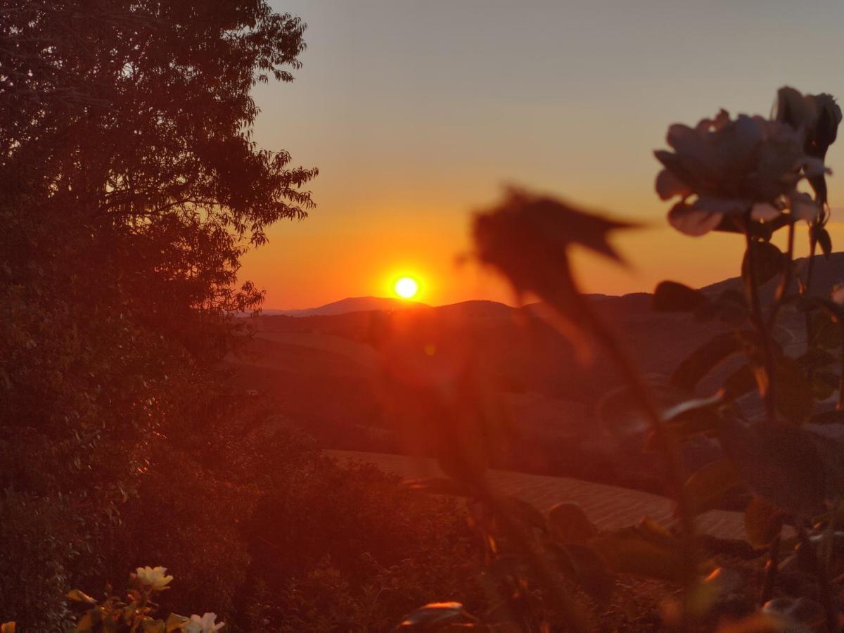 B&B La Terrazza Del Subasio アッシジ エクステリア 写真
