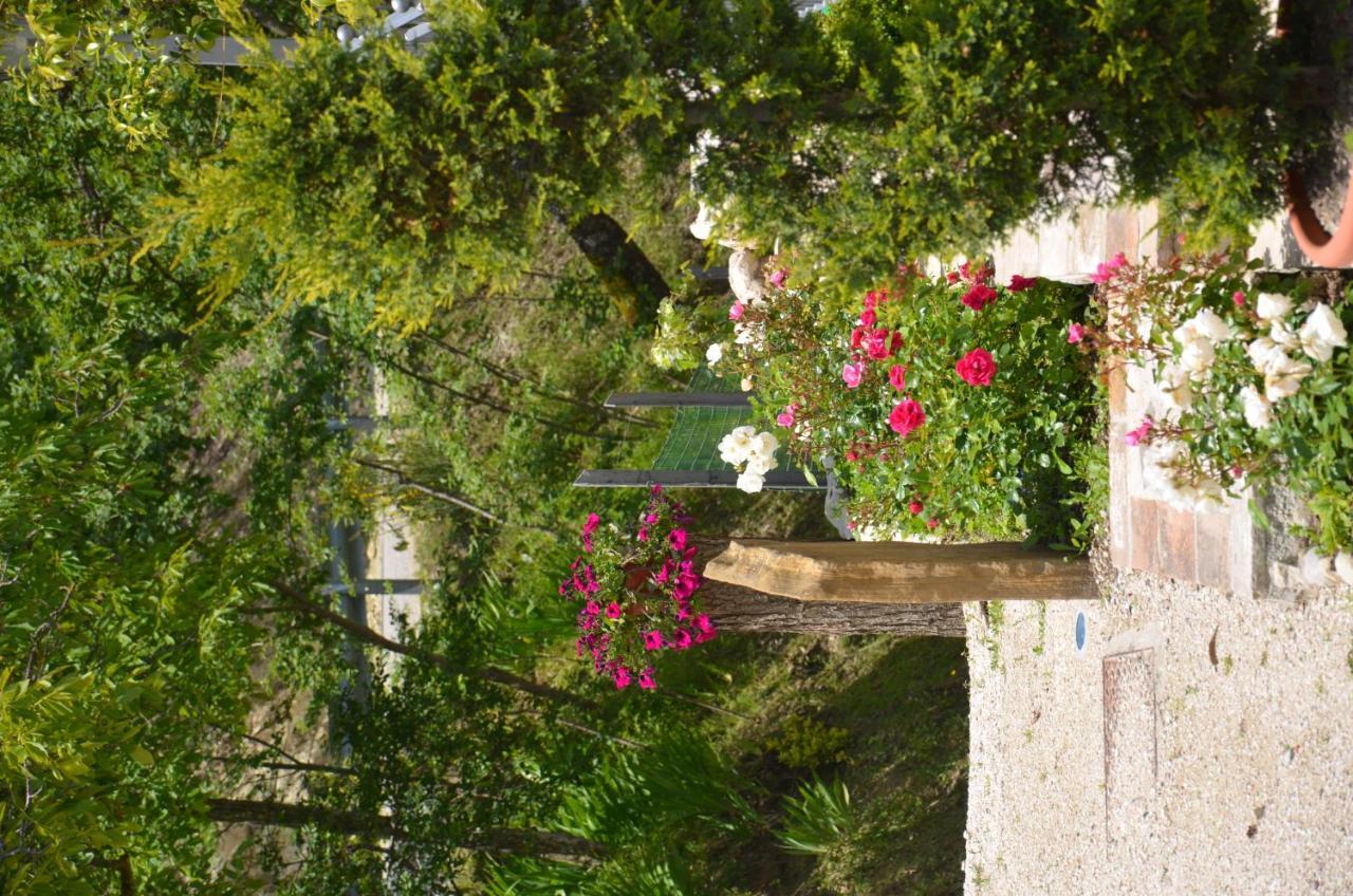 B&B La Terrazza Del Subasio アッシジ エクステリア 写真