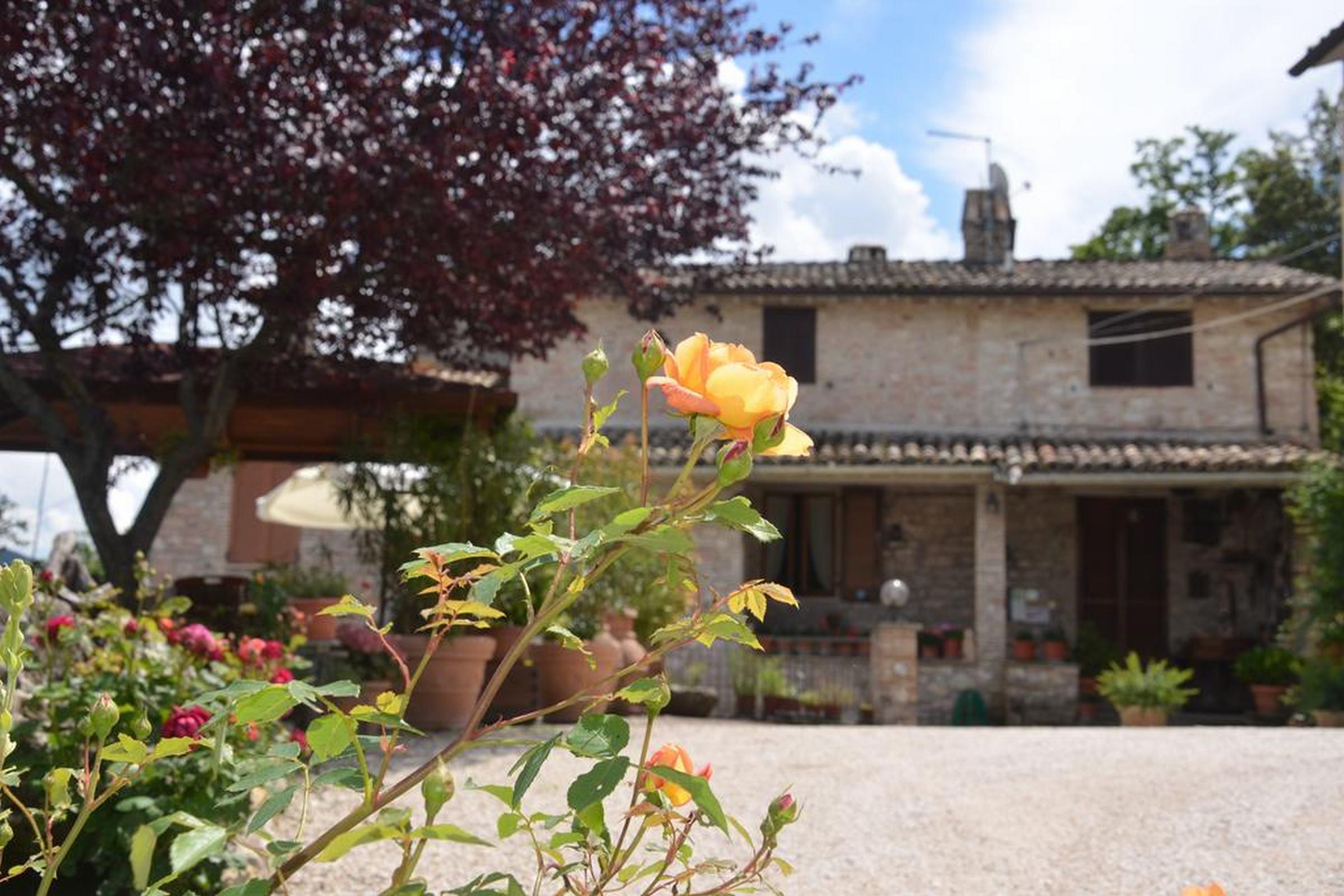 B&B La Terrazza Del Subasio アッシジ エクステリア 写真
