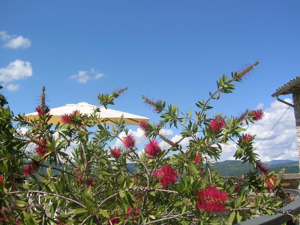 B&B La Terrazza Del Subasio アッシジ 部屋 写真