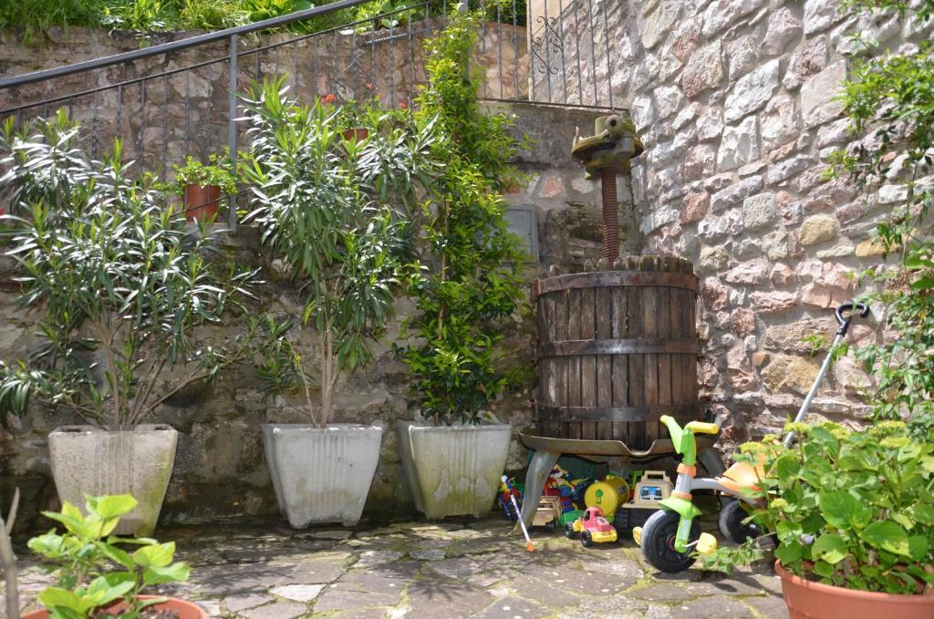 B&B La Terrazza Del Subasio アッシジ エクステリア 写真