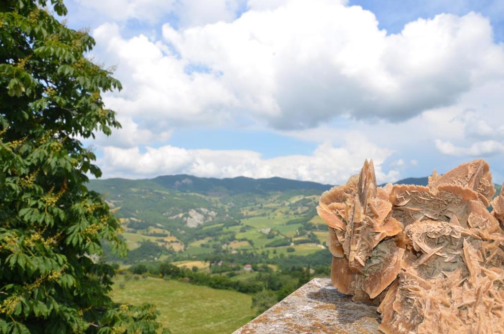 B&B La Terrazza Del Subasio アッシジ エクステリア 写真
